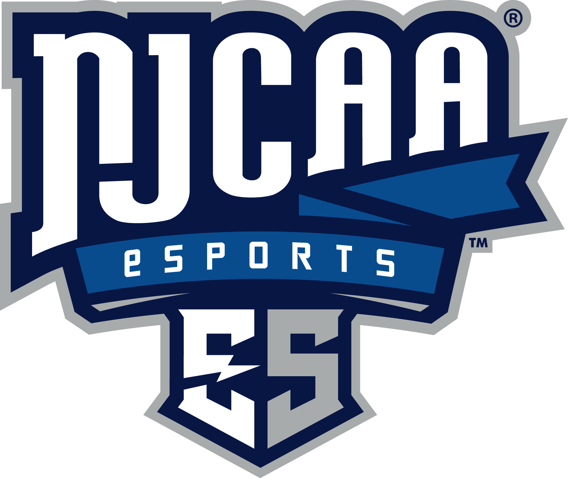 Chiefs' Esports looking for players